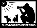 El Fotógrafo de Perros